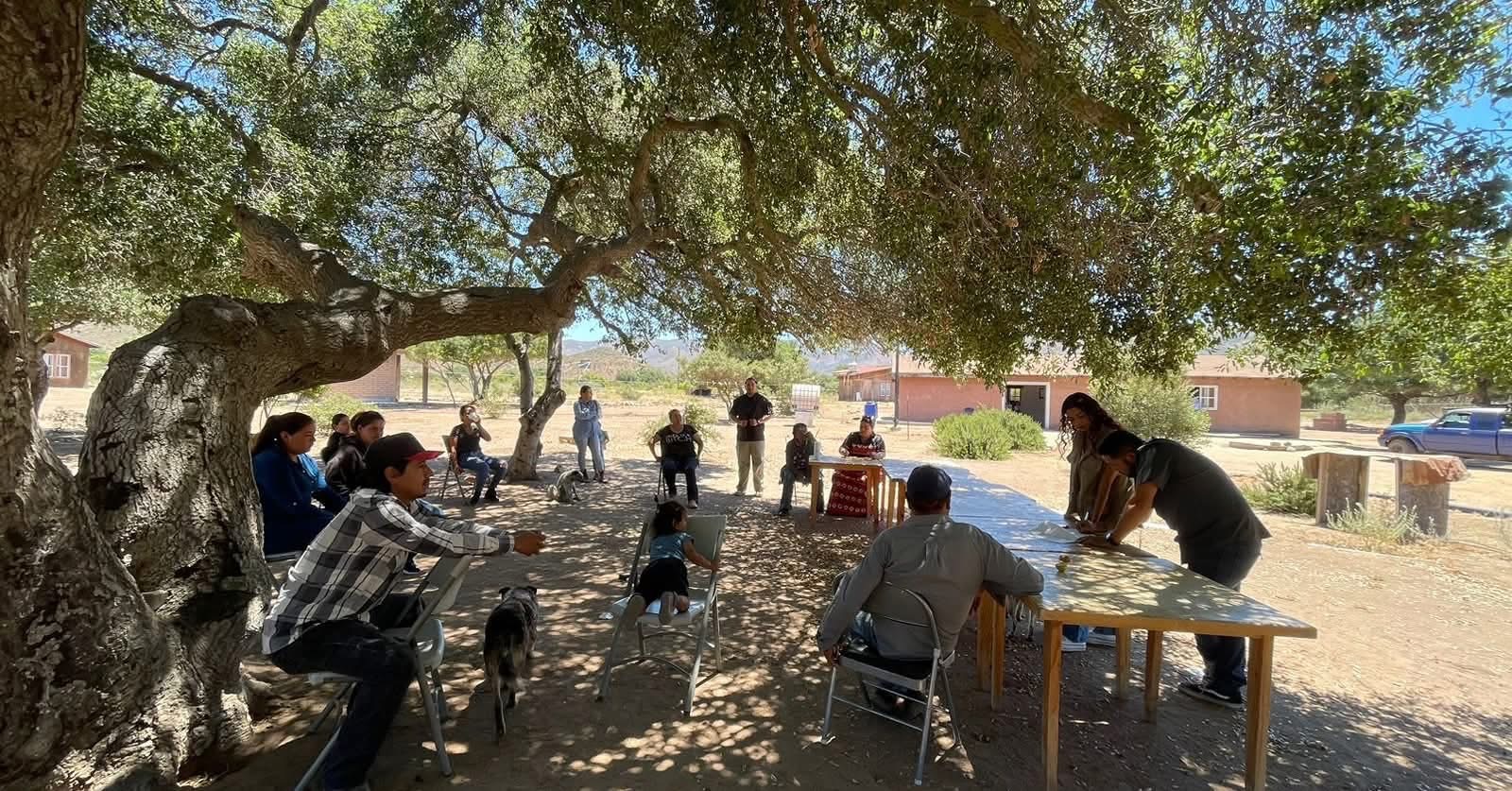 Reunión de la comunidad Kumiai bajo el encino