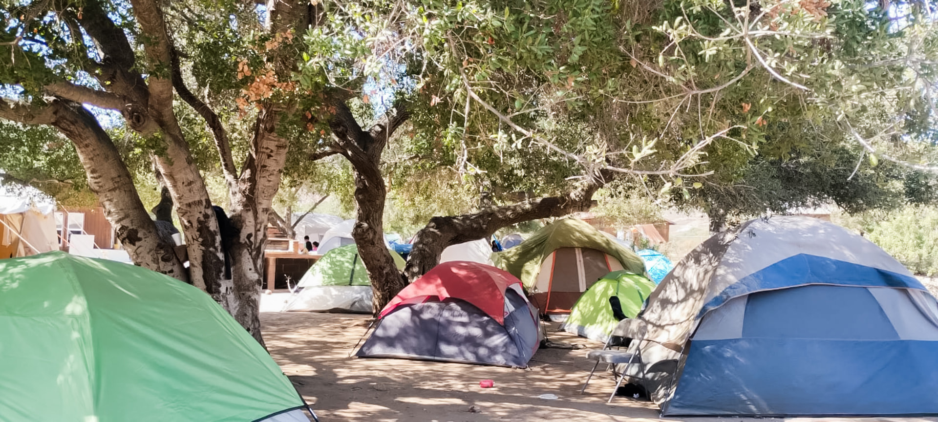 Zona de campamento bajo los árboles